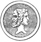 elisomer odot 10